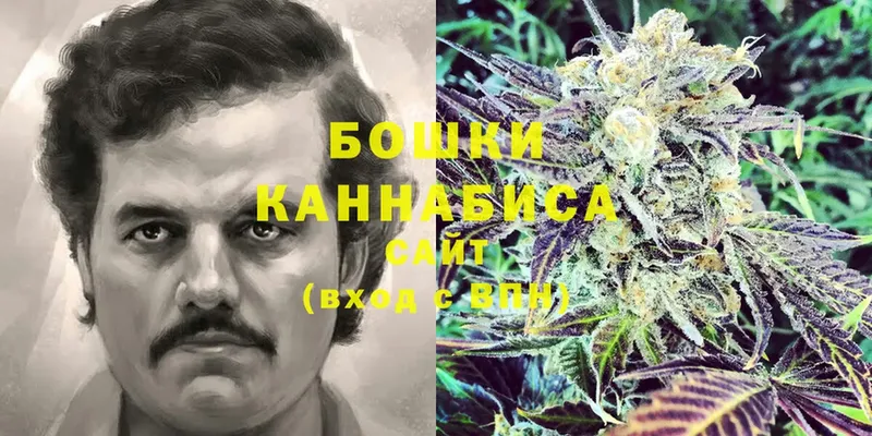 Шишки марихуана THC 21%  ОМГ ОМГ как войти  Канаш  купить наркотики цена 